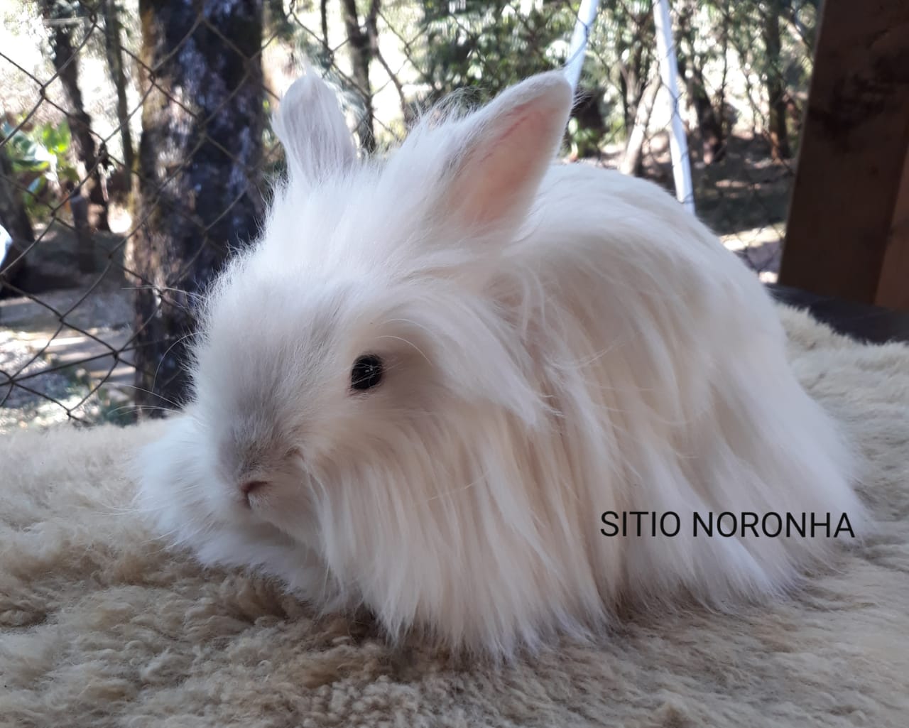 WhatsApp Image 2020-05-08 at 12.59.48.jpeg