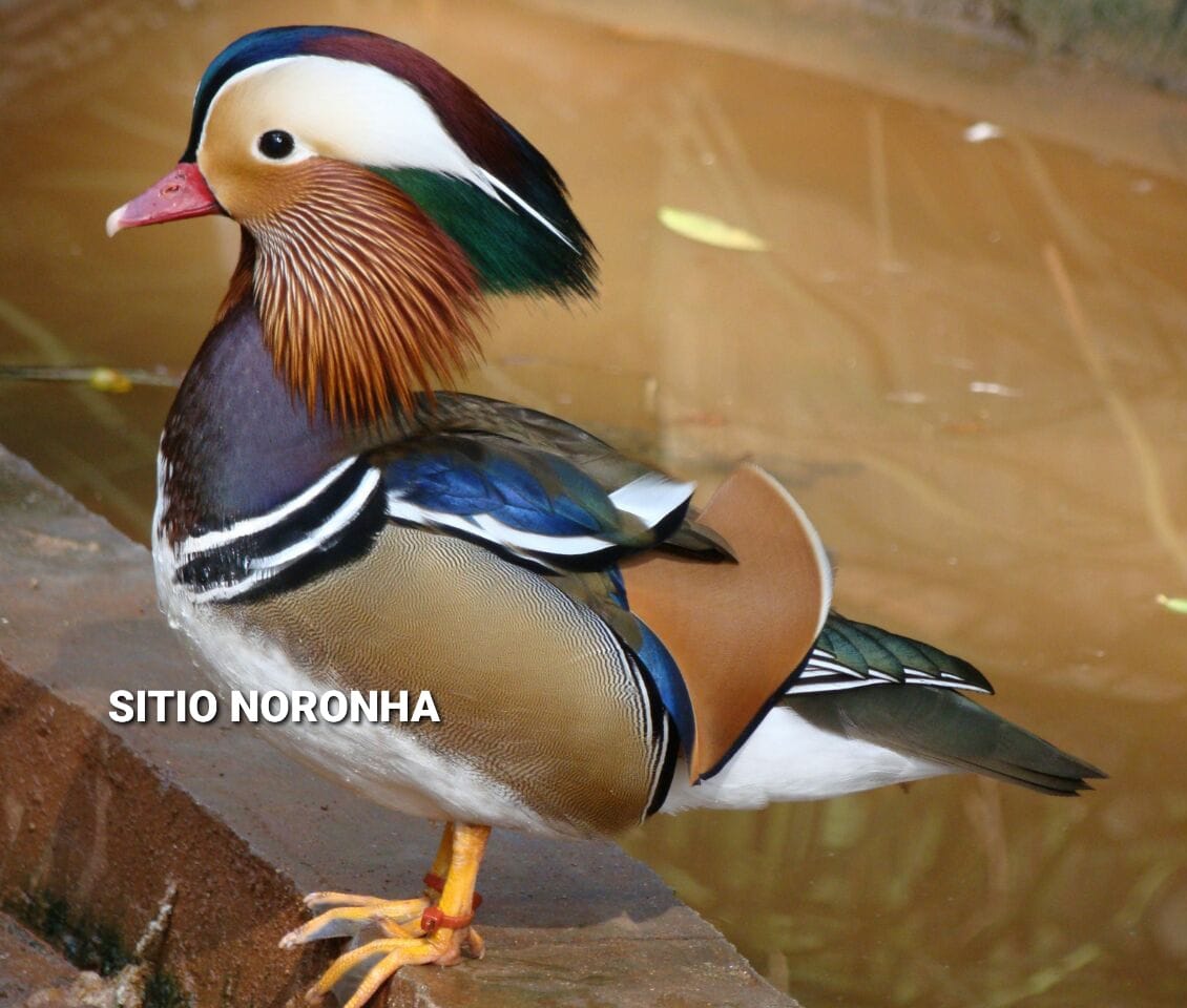 WhatsApp Image 2021-04-10 at 22.17.38.jpeg